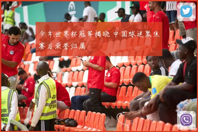 今年世界杯冠军揭晓 中国球迷聚焦赛后荣誉归属