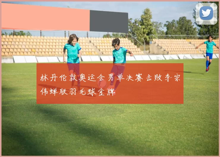 林丹伦敦奥运会男单决赛击败李宗伟蝉联羽毛球金牌
