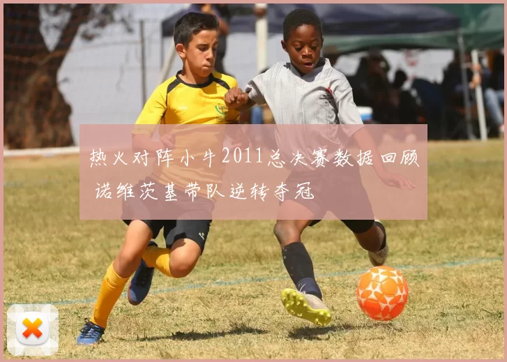 热火对阵小牛2011总决赛数据回顾 诺维茨基带队逆转夺冠