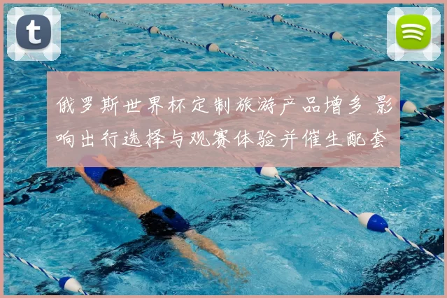 俄罗斯世界杯定制旅游产品增多 影响出行选择与观赛体验并催生配套服务竞争