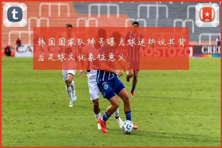 韩国国家队绰号曝光球迷热议其背后足球文化象征意义