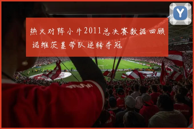 热火对阵小牛2011总决赛数据回顾 诺维茨基带队逆转夺冠