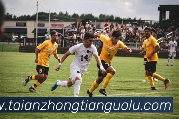 巅峰国际下载官网入口 - (中国)有限公司官网品牌故事