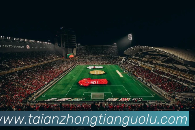 奖项证书